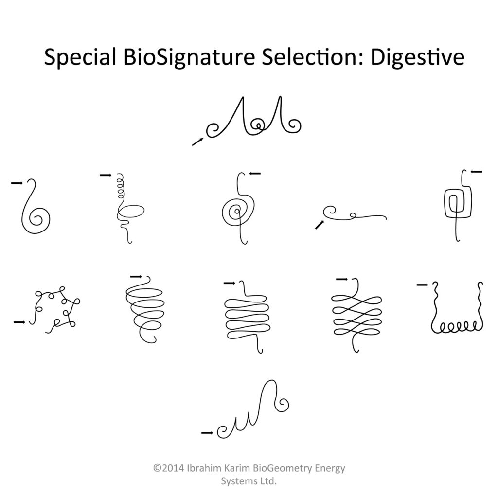 BioGeometry Signatures book by Dr. Ibrahim Karim + Acupressure ...