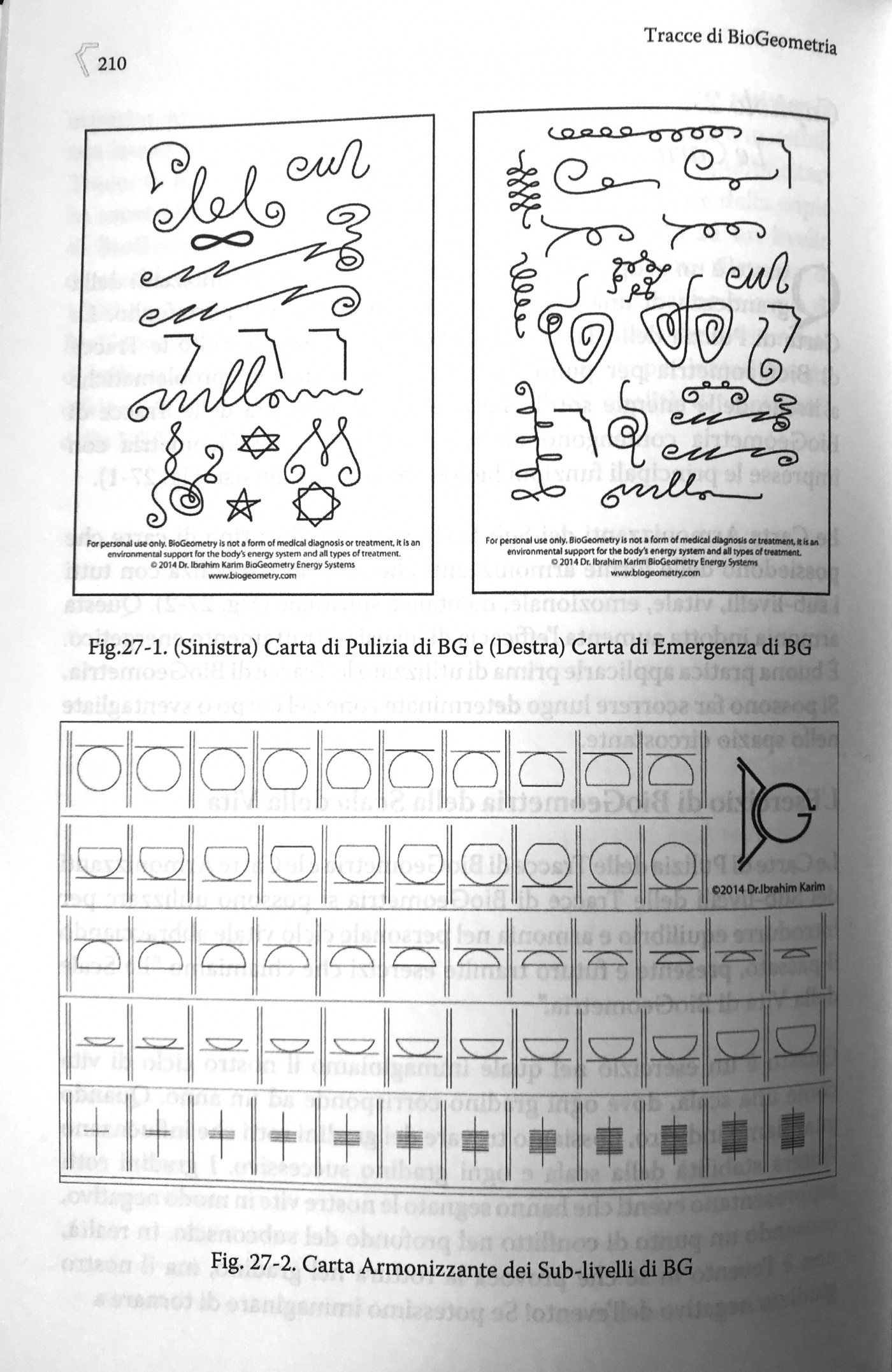 BioGeometry Signatures book by Dr. Ibrahim Karim + Acupressure ...