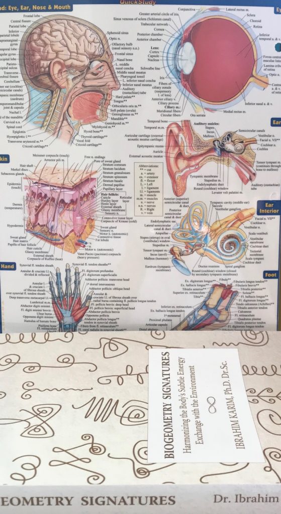 Promotion 4 : BioGeometry Signatures book by Dr. Ibrahim Karim ...